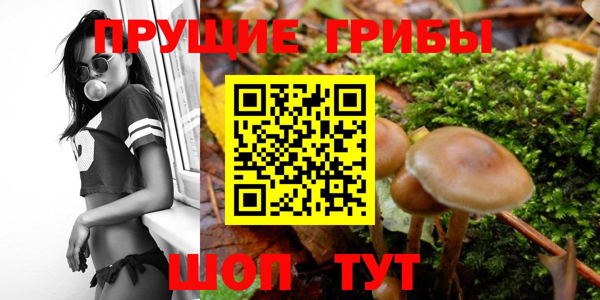 Зима  Галлюциногенные грибы MAGIC MUSHROOMS  Вход с VPN 